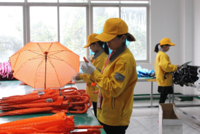 umbrella inspection3